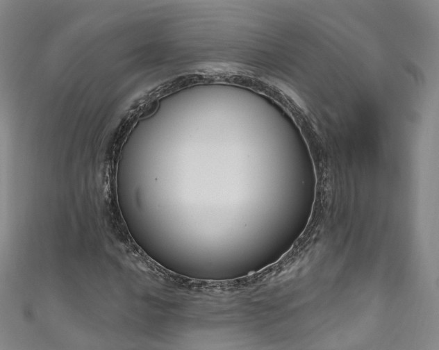 X0000111021016200906261536