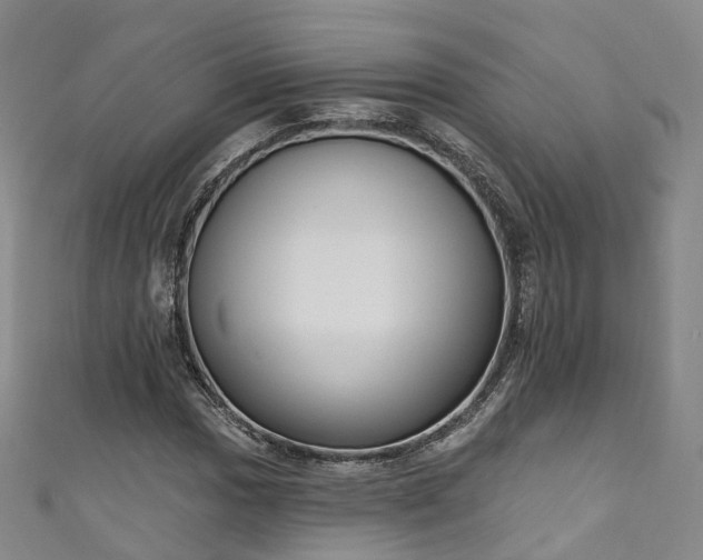 X0000111021017200906261536
