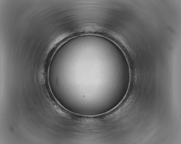 X0000111021018200906261536