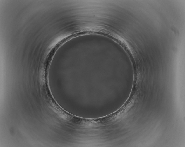 X0000111021019200906261536