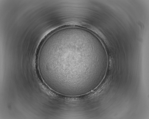 X0000111021020200906261536