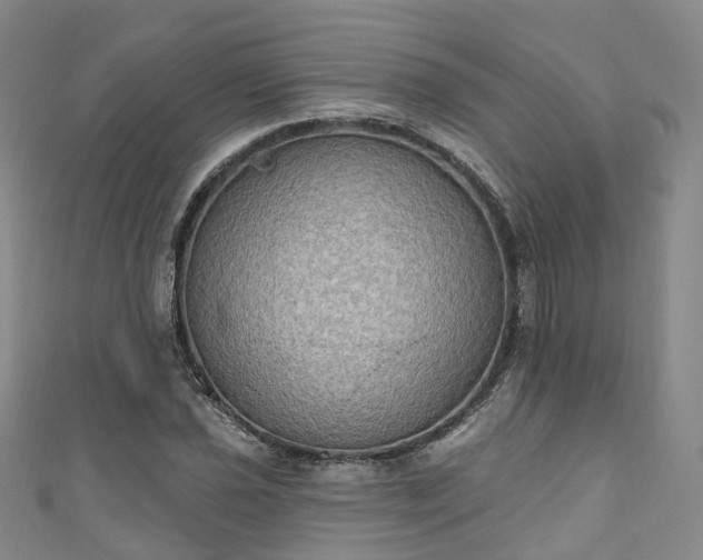 X0000111021021200906261536