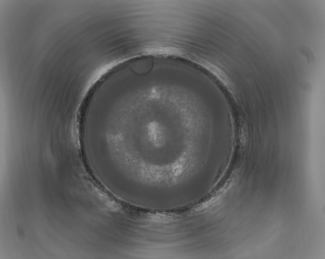X0000111021022200906261536