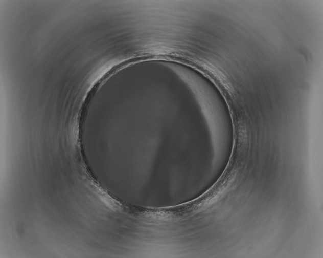 X0000111021023200906261536