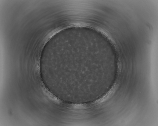 X0000111021025200906261536