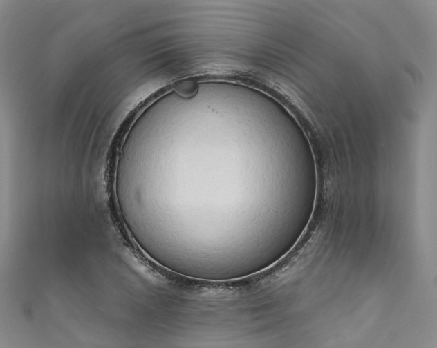 X0000111021026200906261536