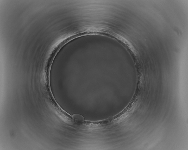 X0000111021027200906261536