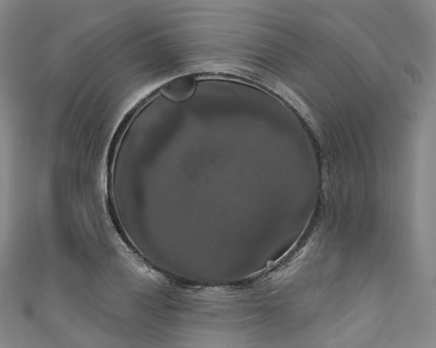 X0000111021028200906261536