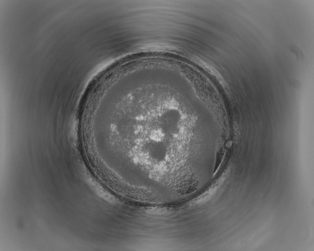 X0000111021029200906261536