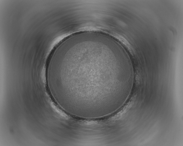 X0000111021030200906261536