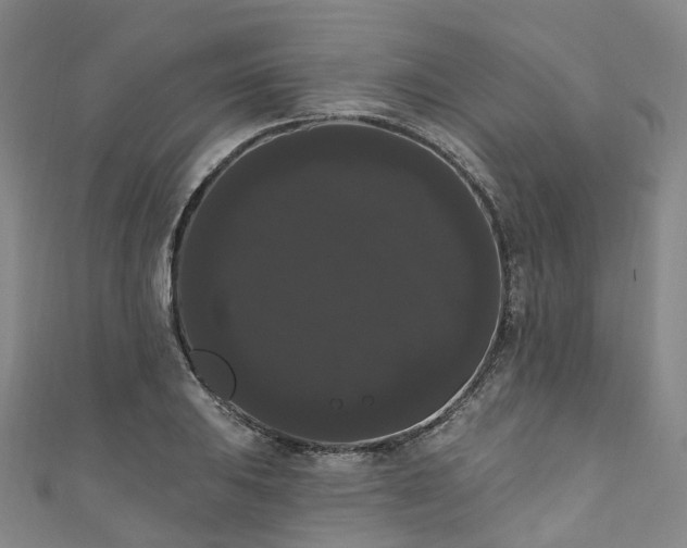 X0000111021031200906261536