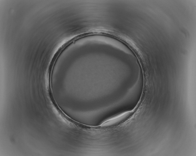 X0000111021032200906261536