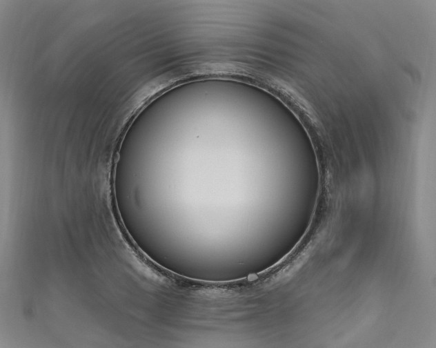 X0000111021033200906261536