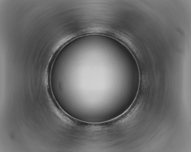 X0000111021034200906261536