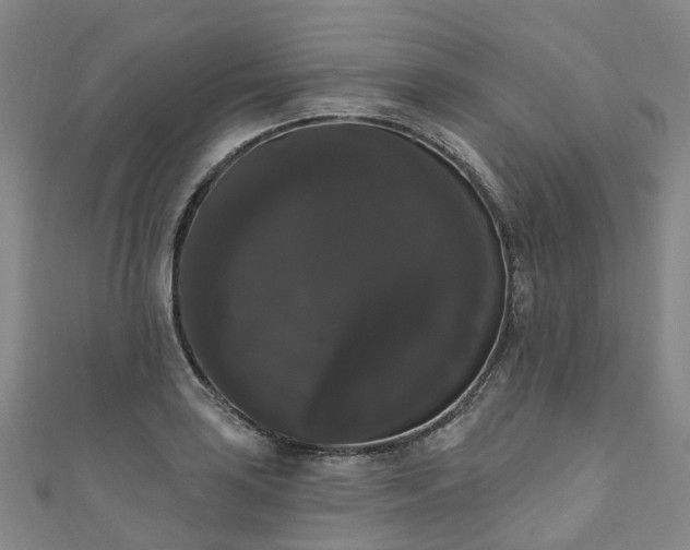 X0000111021035200906261536
