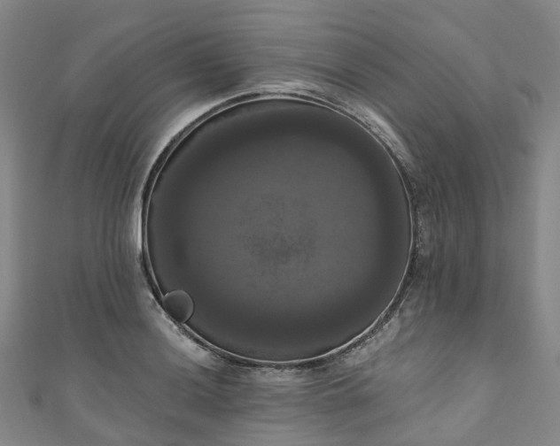 X0000111021036200906261536