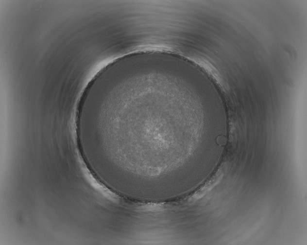 X0000111021038200906261536