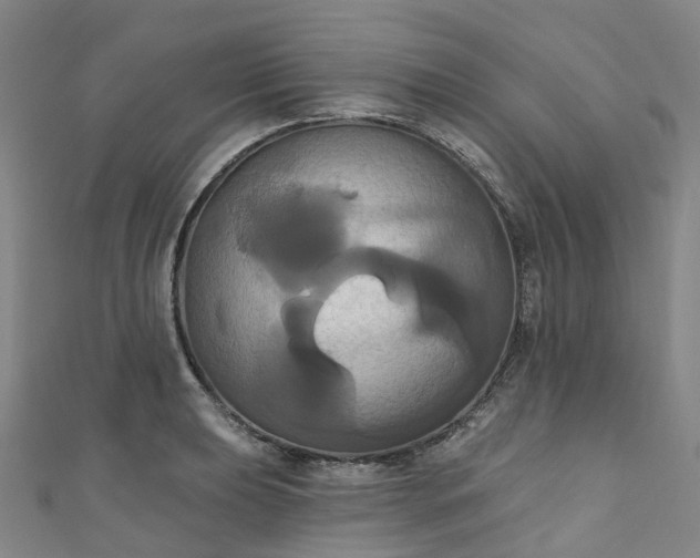 X0000111021039200906261536