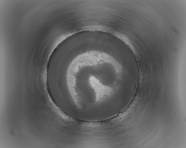 X0000111021040200906261536