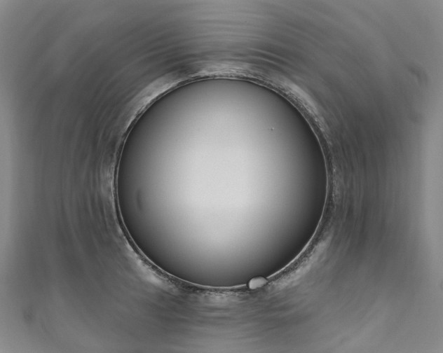 X0000111021041200906261536