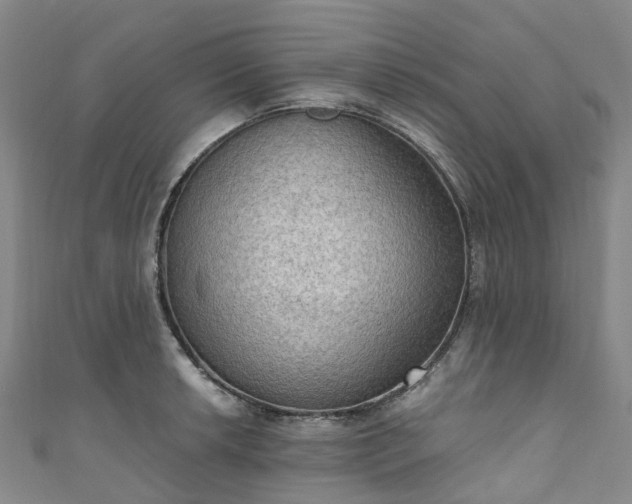 X0000111021042200906261536
