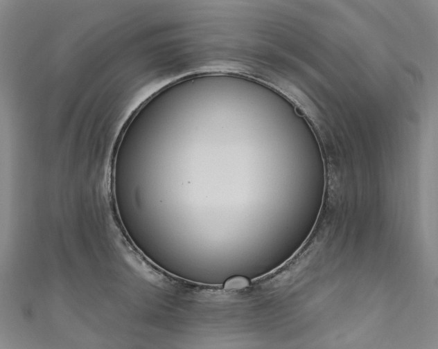 X0000111021044200906261536