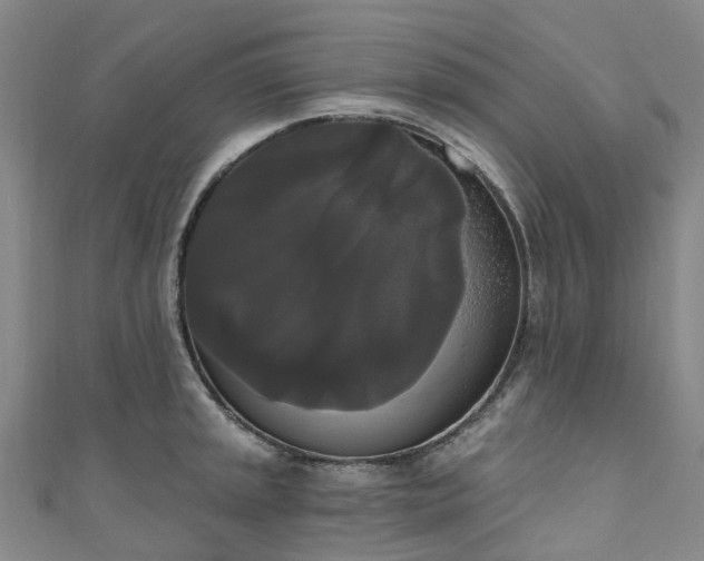 X0000111021045200906261536