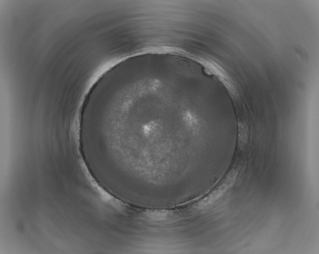 X0000111021046200906261536