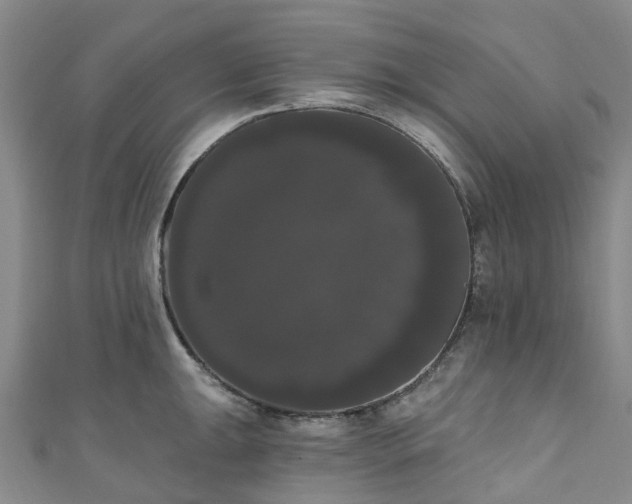 X0000111021047200906261536
