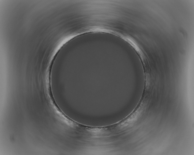 X0000111021048200906261536