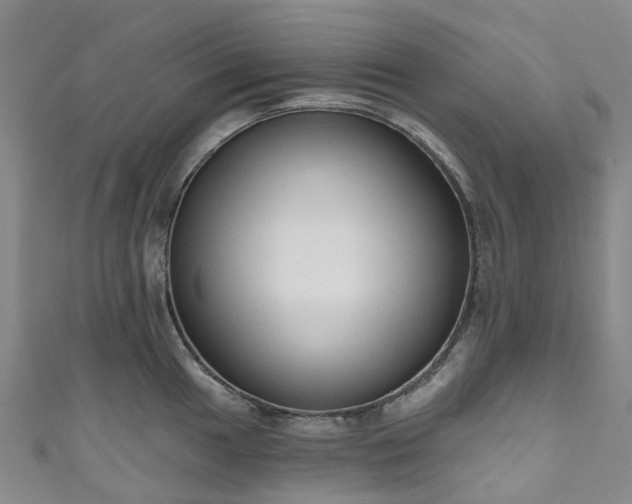 X0000111021049200906261536