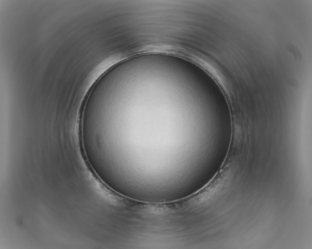 X0000111021050200906261536