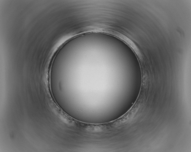 X0000111021051200906261536