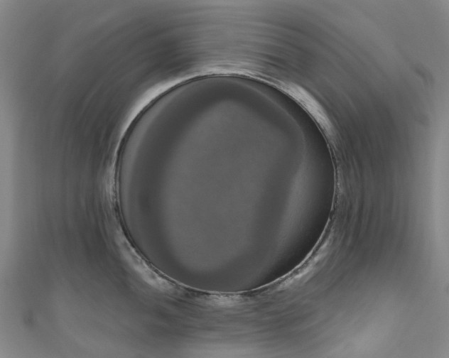 X0000111021052200906261536
