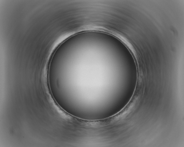 X0000111021053200906261536