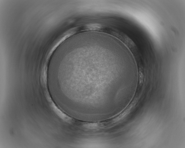 X0000111021054200906261536
