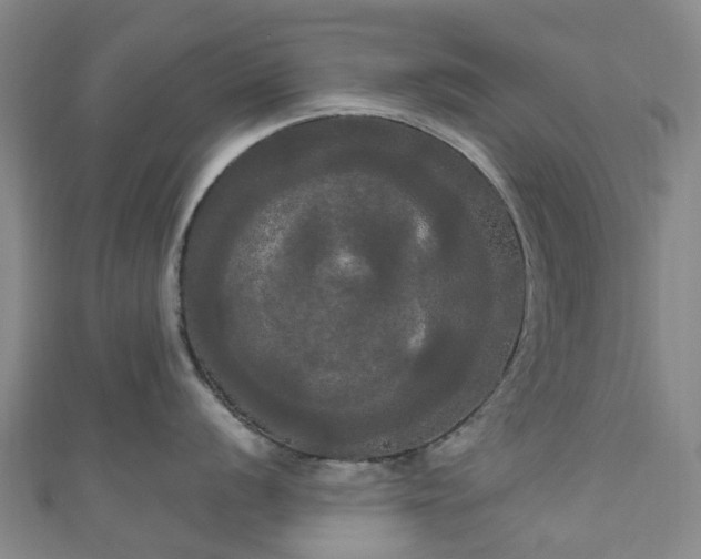 X0000111021056200906261536