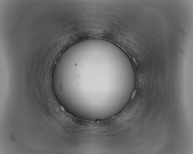 X0000111021057200906261536