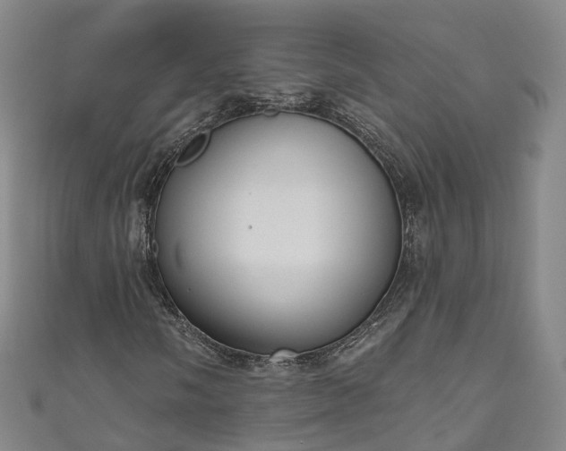 X0000111021058200906261536
