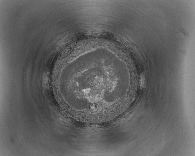 X0000111021059200906261536