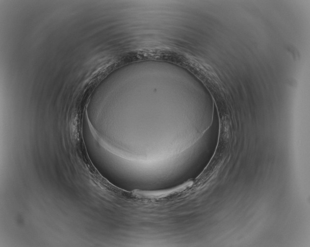 X0000111021060200906261536