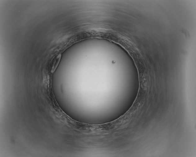 X0000111021061200906261536
