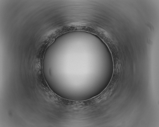 X0000111021062200906261536