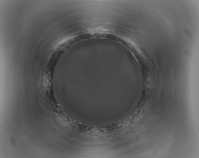X0000111021063200906261536