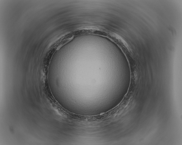 X0000111021064200906261536