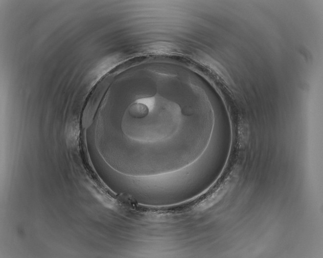 X0000111021065200906261536