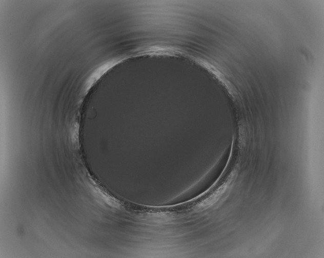 X0000111021066200906261536