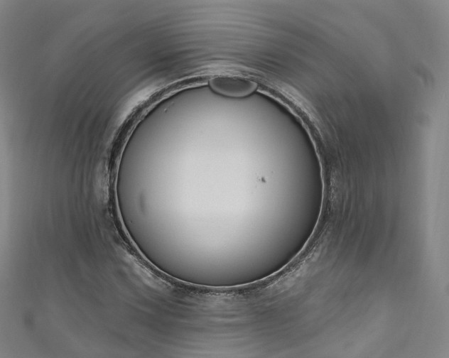 X0000111021067200906261536