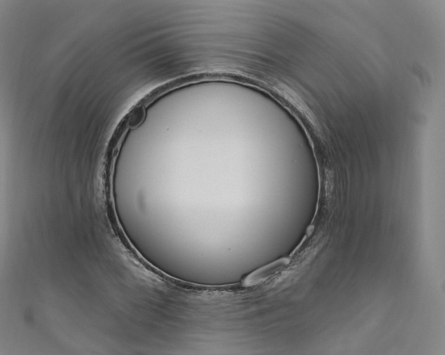 X0000111021068200906261536