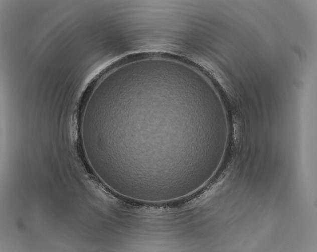 X0000111021069200906261536